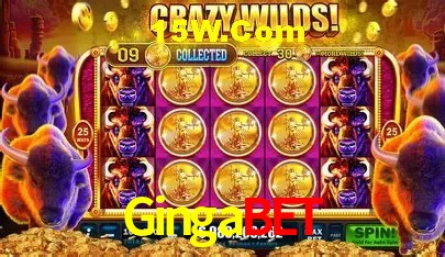 Gingabet Brasília - Betting Features